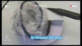 Mindray 75L50EAV 수의사 초음파 프로브